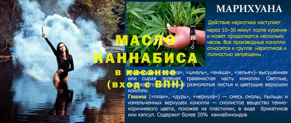 шишки Бородино