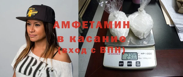 шишки Бородино
