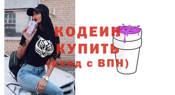шишки Бородино