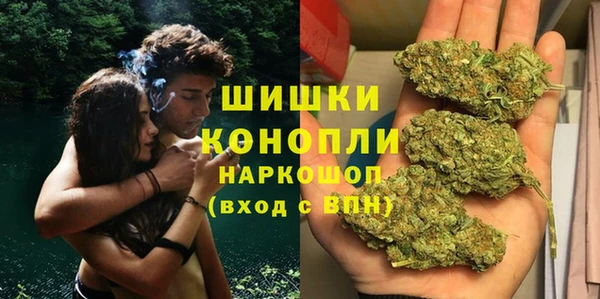 шишки Бородино