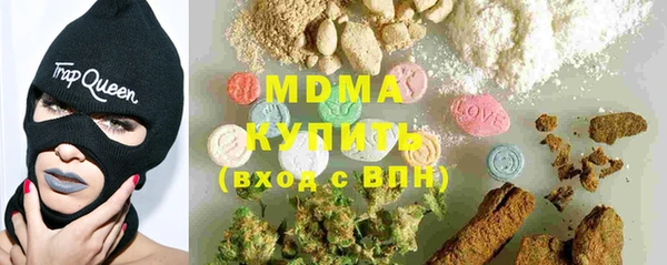 шишки Бородино