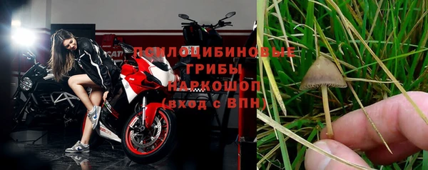 гидра Бугульма