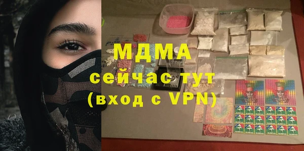 шишки Бородино