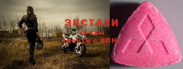 шишки Бородино