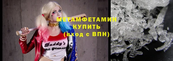шишки Бородино
